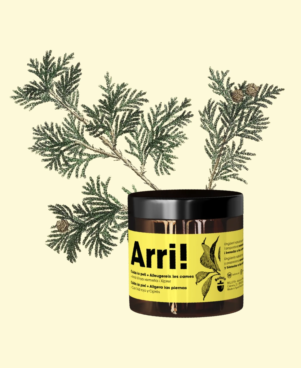 arri_bellotanatural